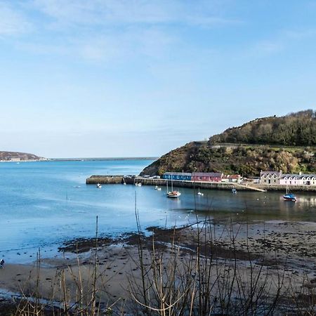 Rock Cottage - 3 Bedroom Holiday Home - Fishguard Eksteriør billede