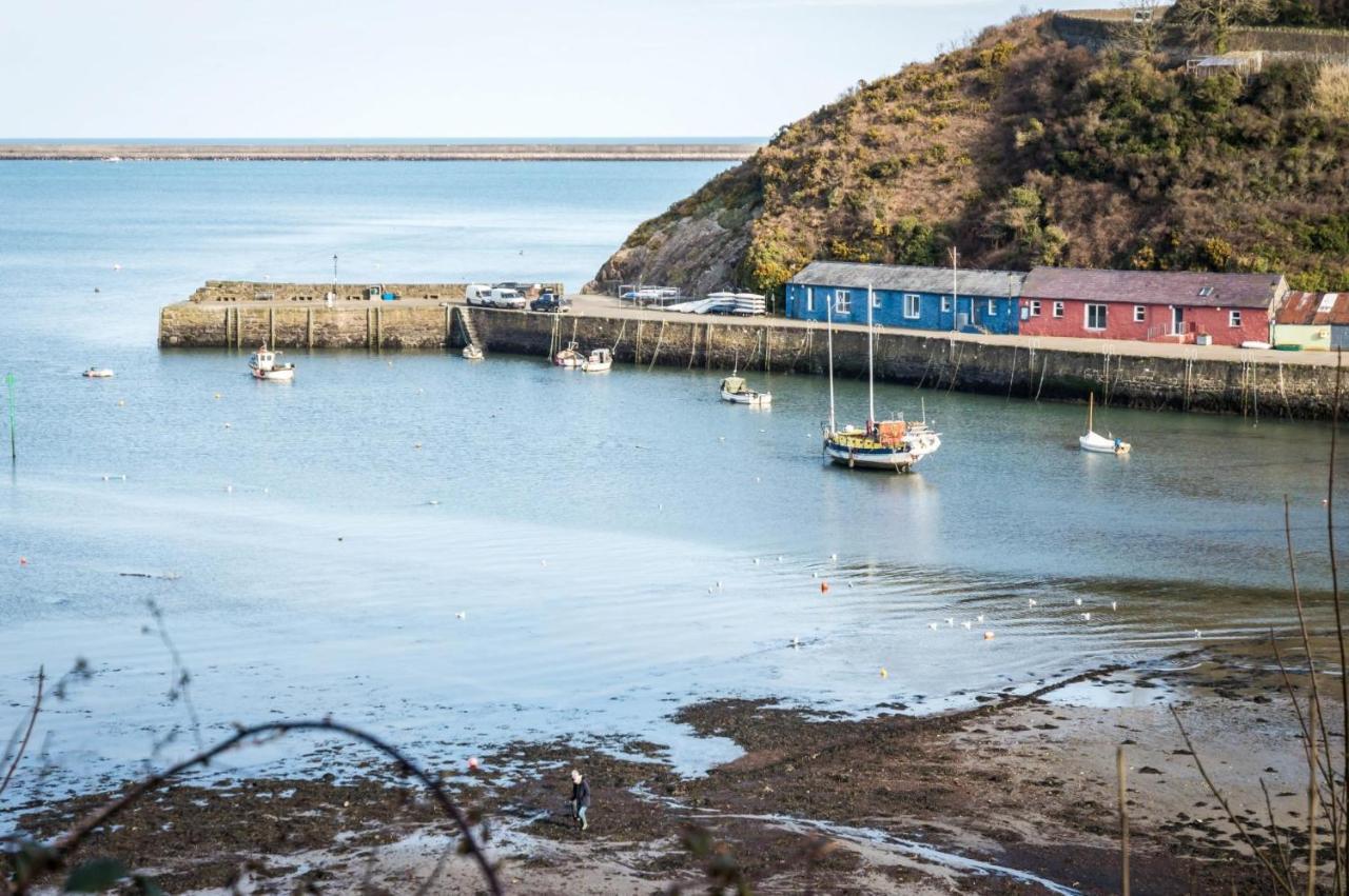 Rock Cottage - 3 Bedroom Holiday Home - Fishguard Eksteriør billede